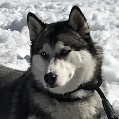 Luna