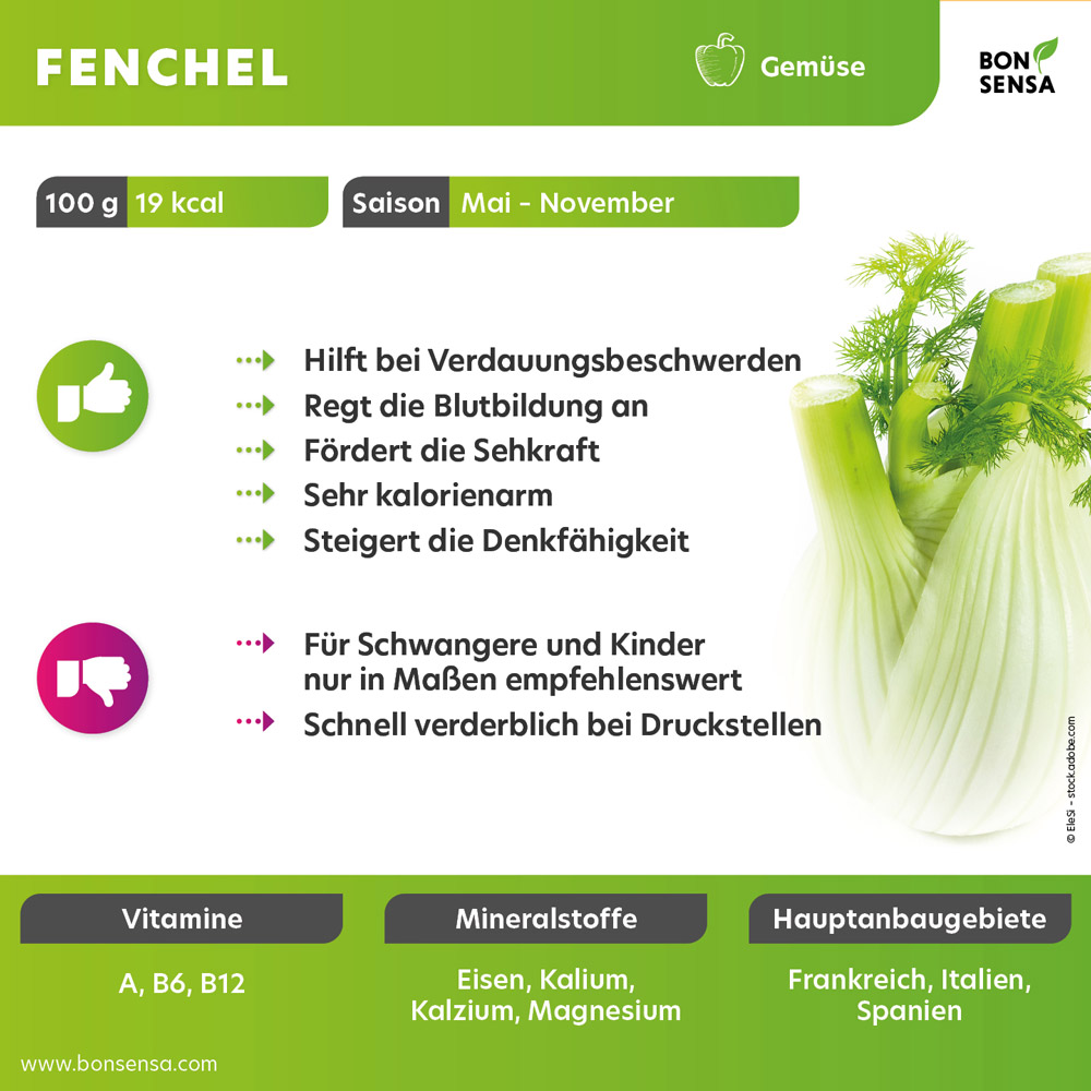 Fenchel-Infokachel von BONpedia mit wissenswerten Überblicksinfos zur gesunden Ernährung, Vorteilen und Nachteilen von Fenchel als Infografik